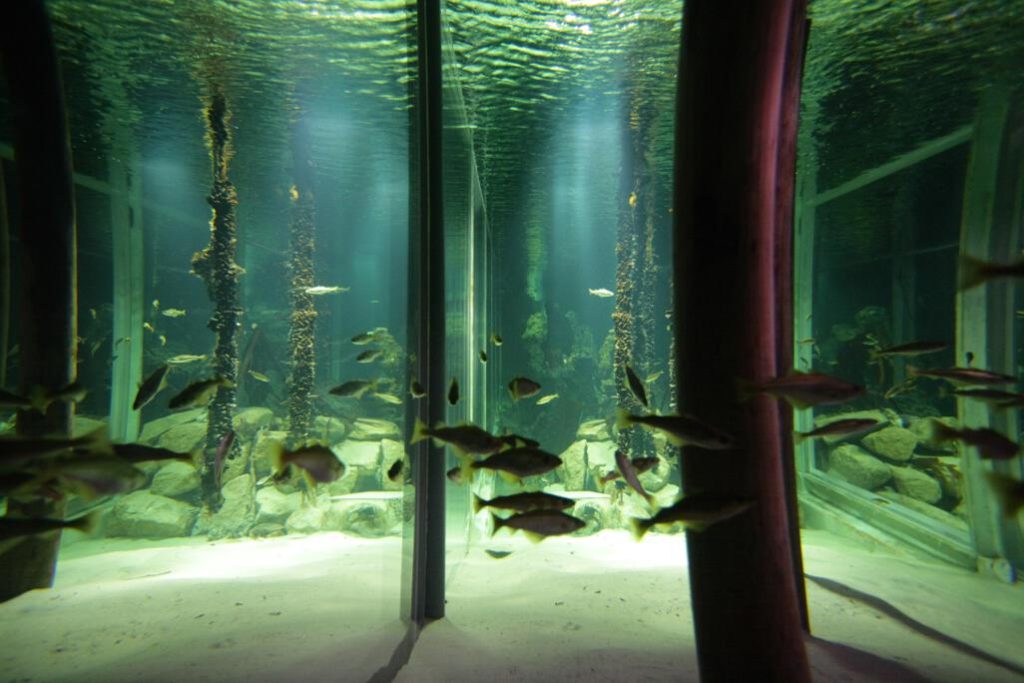 Museo del Mar Vigo