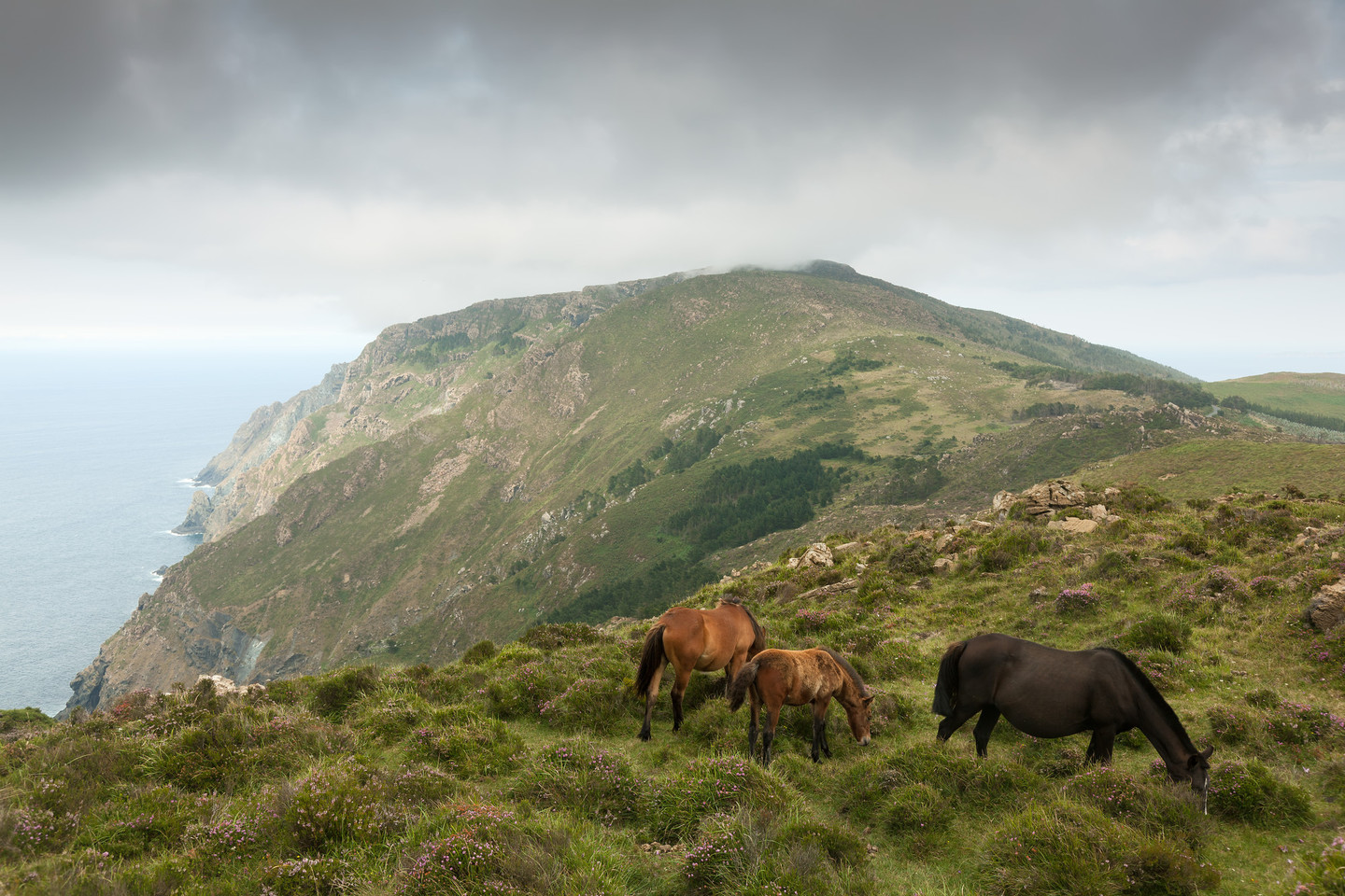 serra da capelada