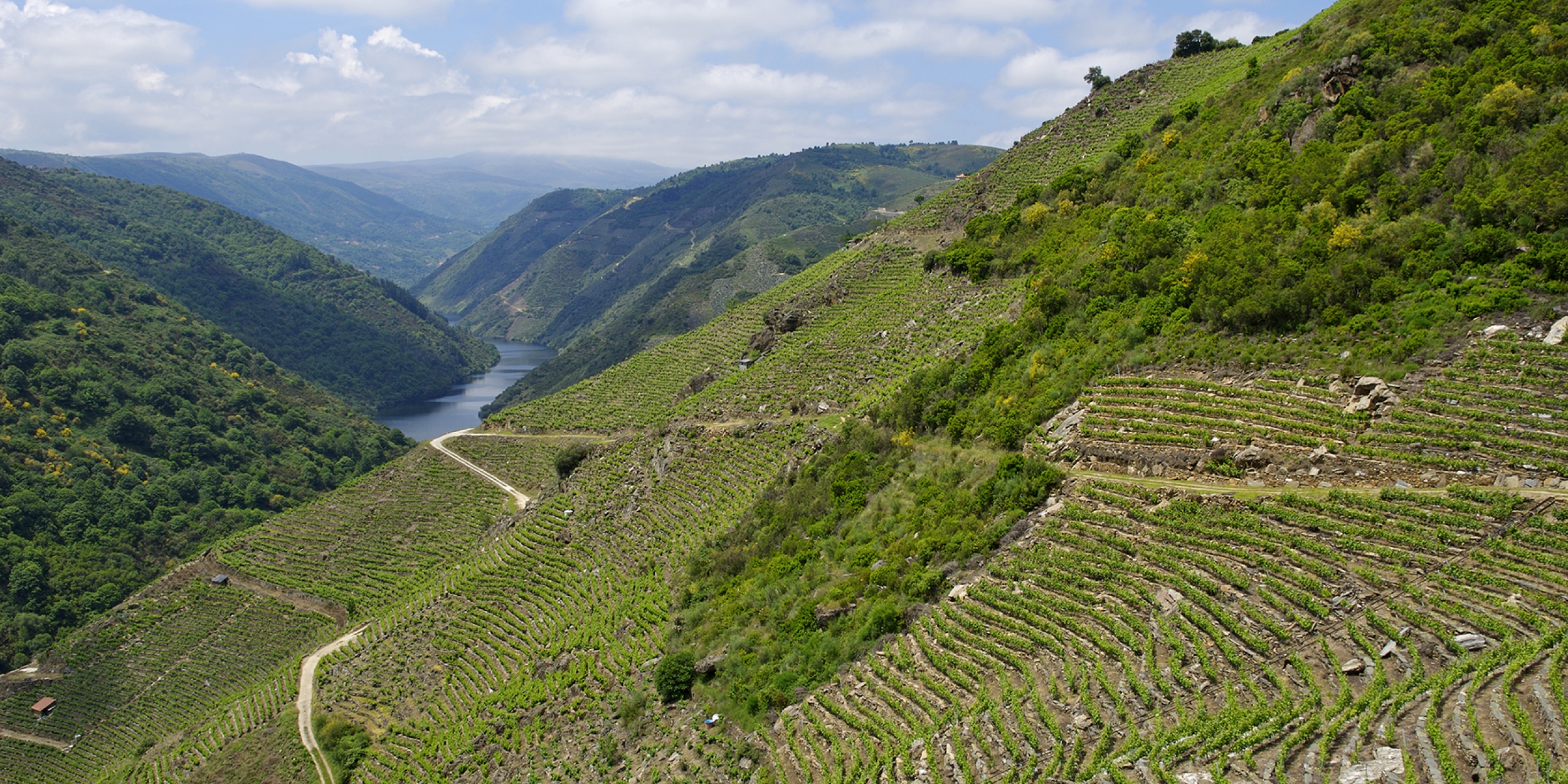 Ribeira Sacra, Ourense