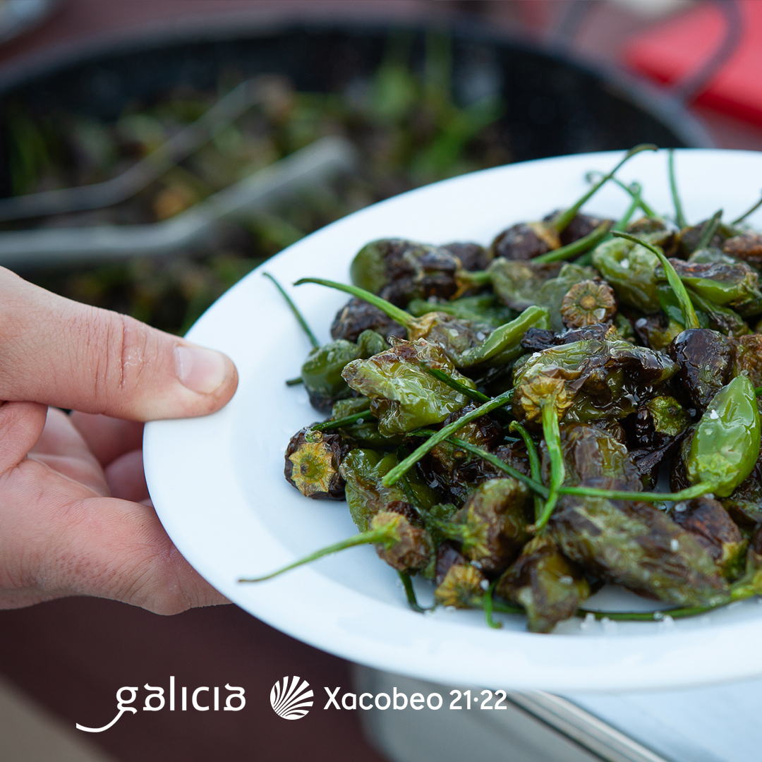 Pimientos de Padron, galicia