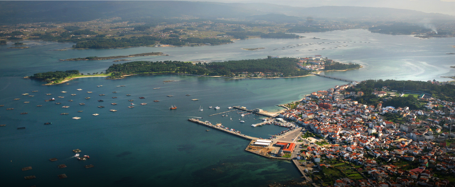 O Grove