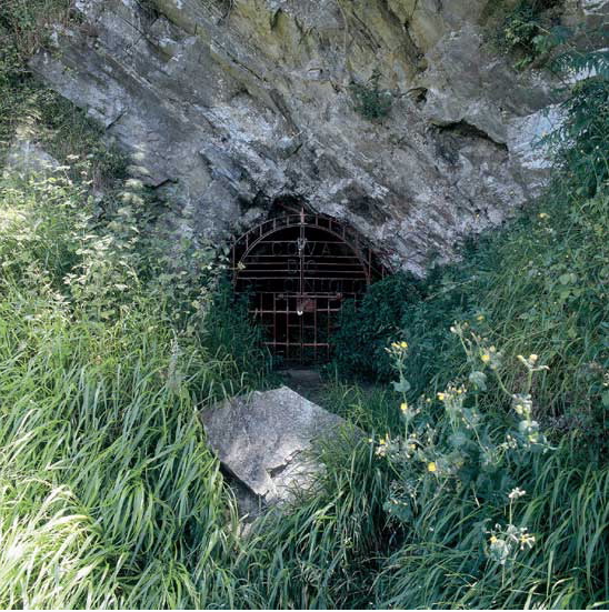 La Cueva del Rey Cintolo