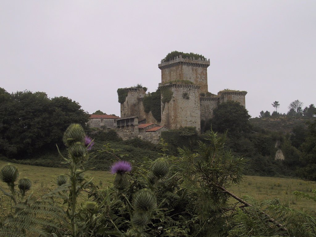 Castillo de Pambre