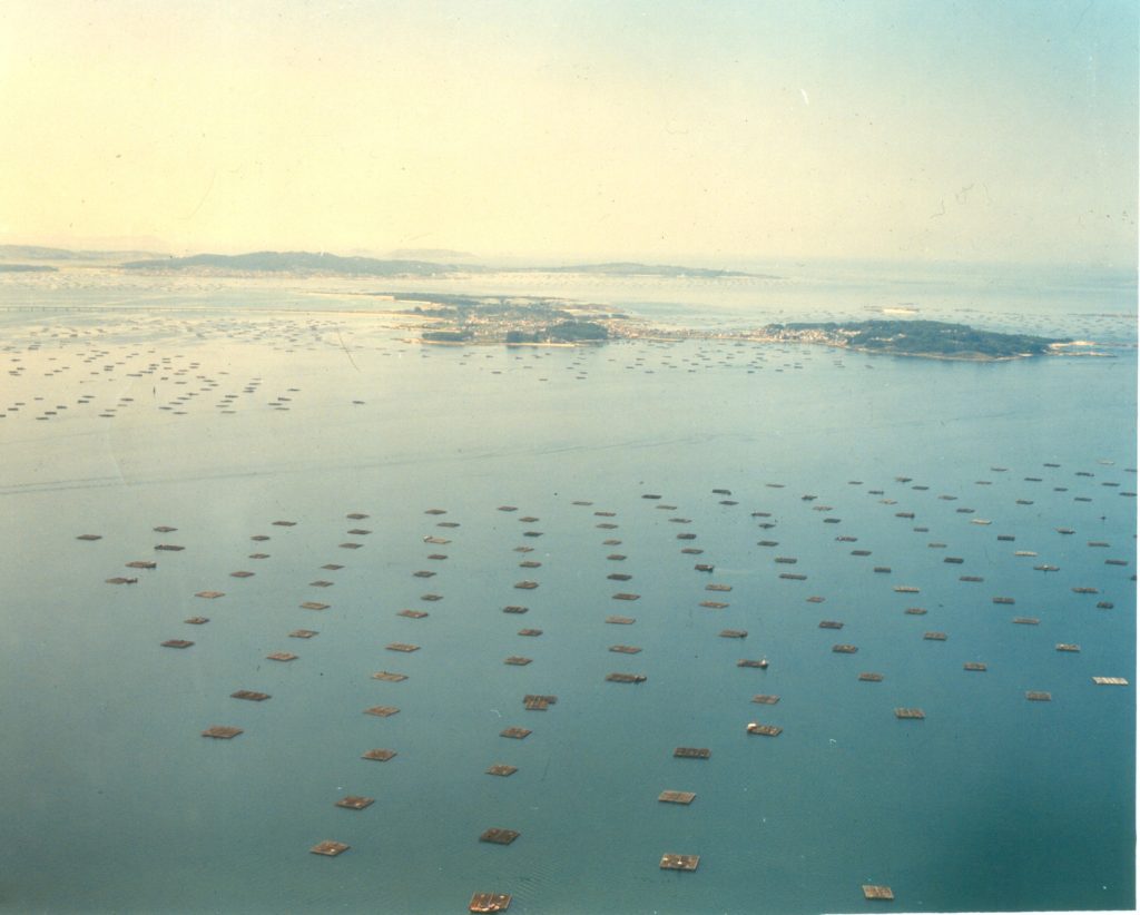 Ría de Arousa