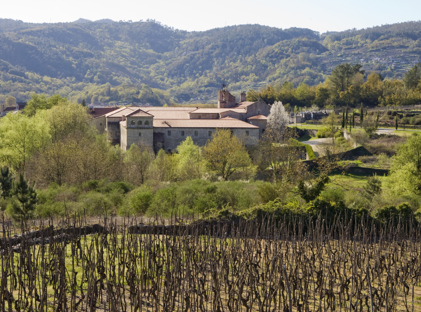 Viñedos Monasterio San Clodio