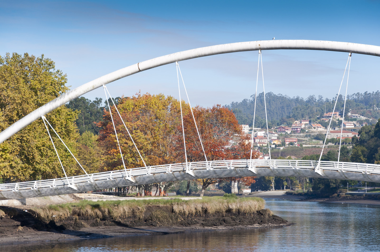 Pontevedra