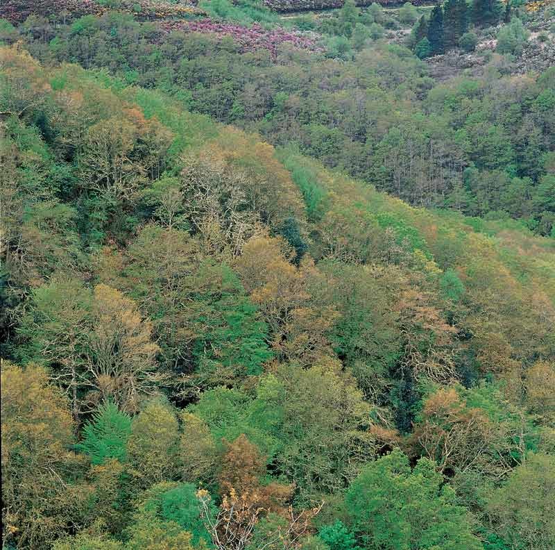 Fraga de A Marronda