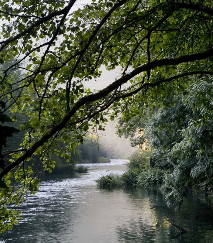 Parque Natural Fraga de Eume