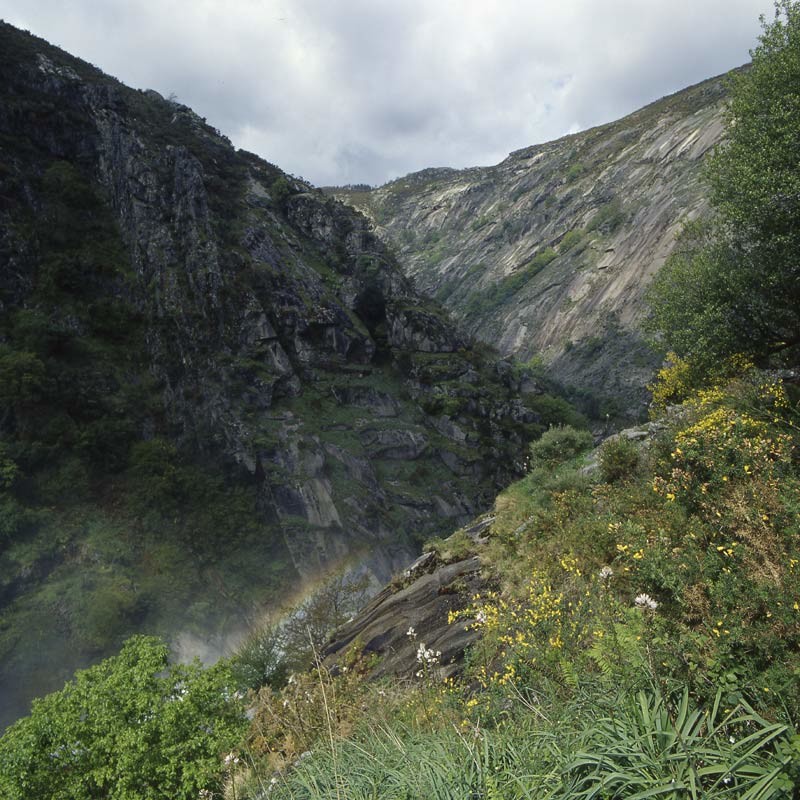 Parque Natural Fraga de Eume
