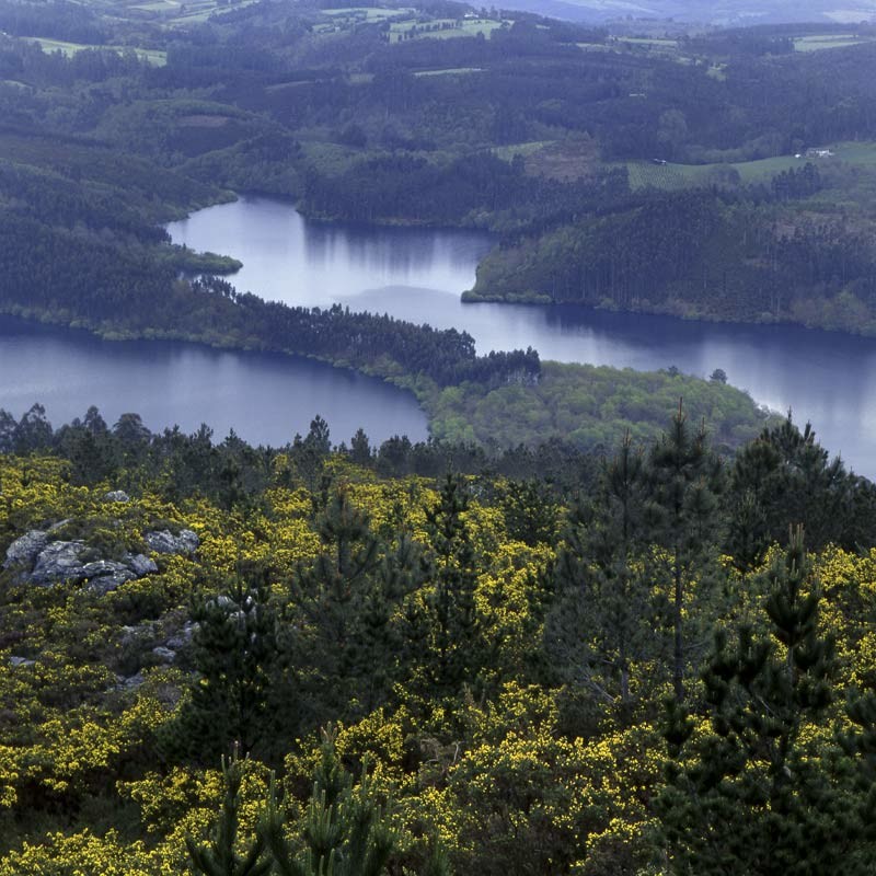 Parque Natural Fraga de Eume
