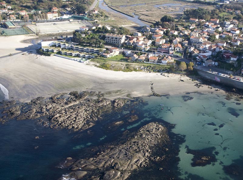 playa perros