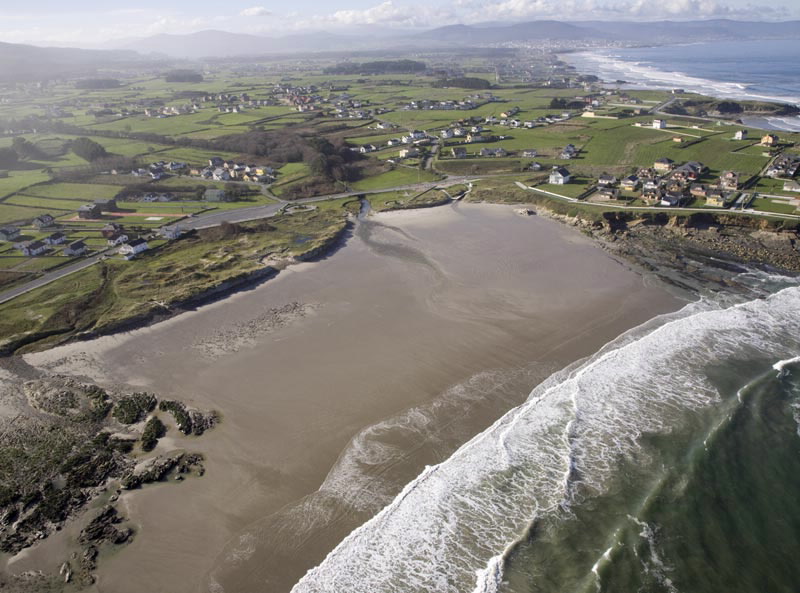 playa perros