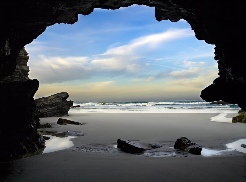 playa perros