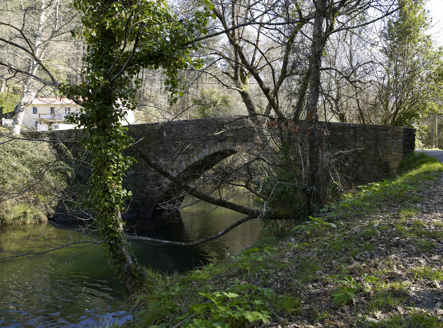 Paderne