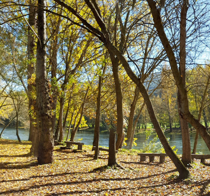 Paseo Fluvial Río Sil