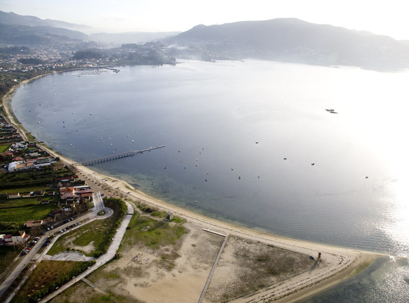 playa perros