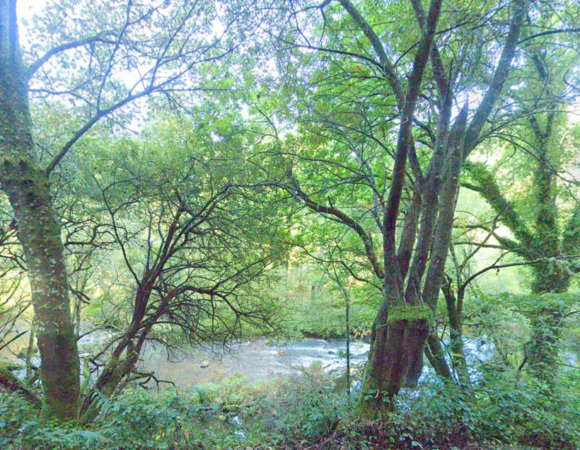 Río Eume