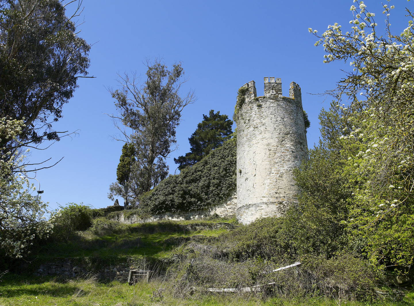 Sarria