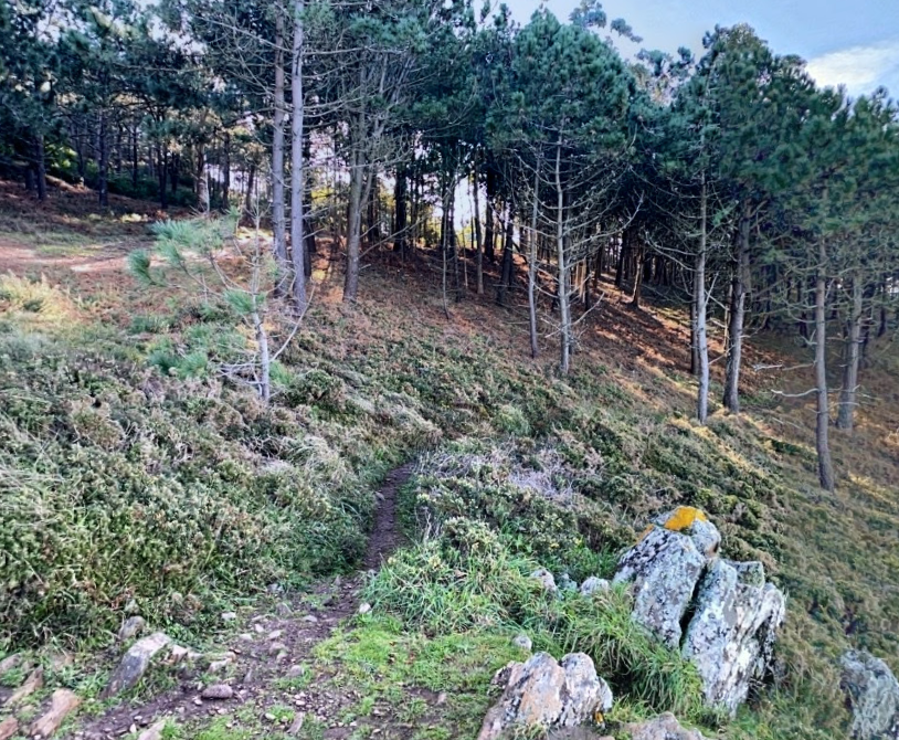 Sendero Costero monteferro