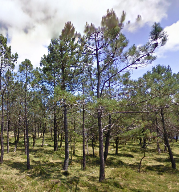 Serra do Barbanza