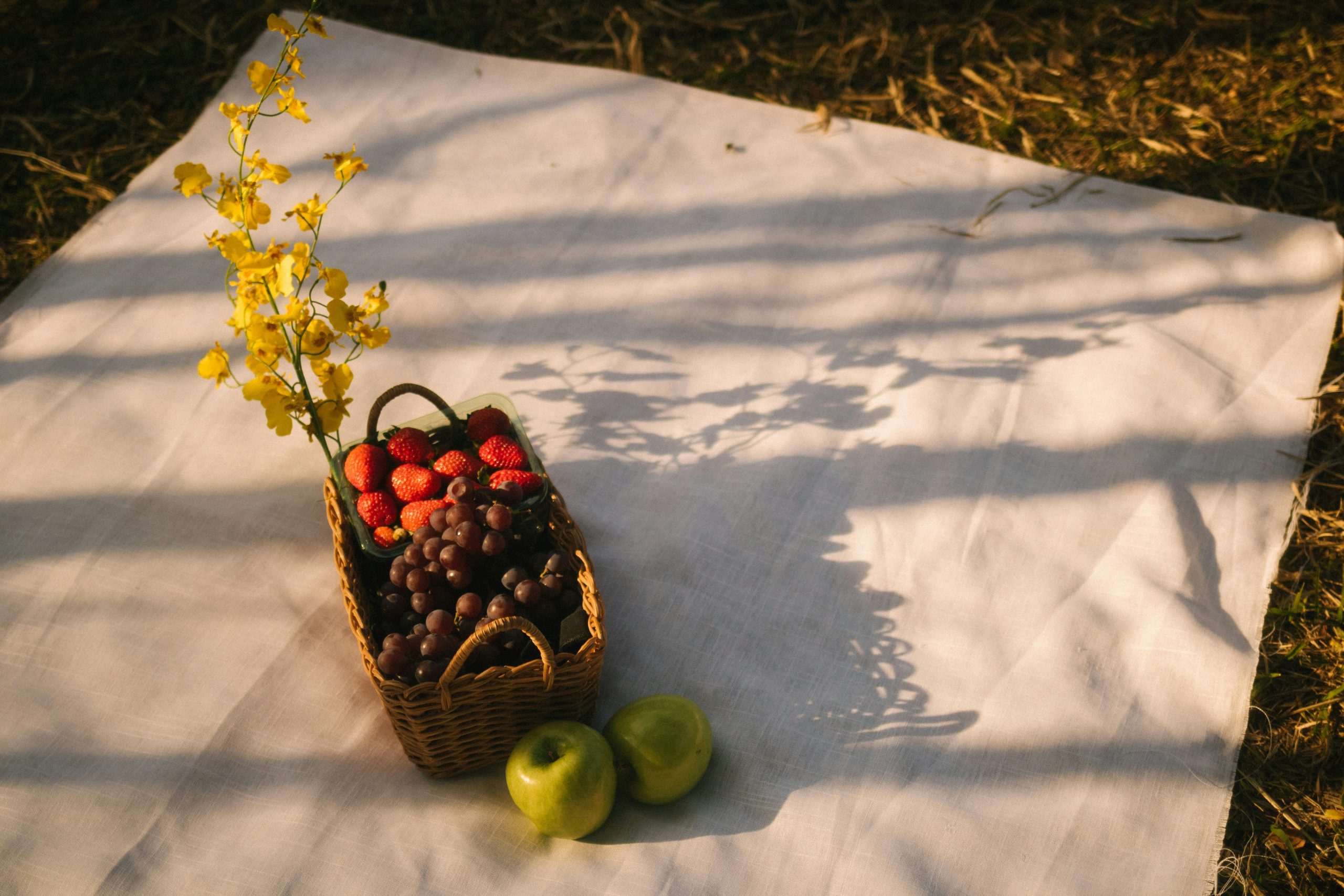 Pico Mustallar picnic