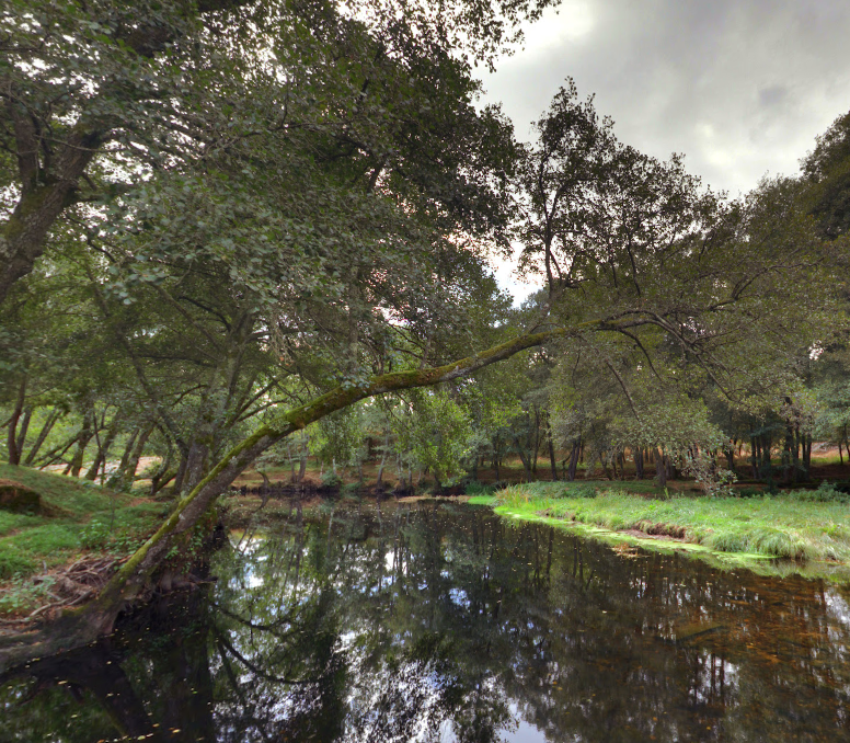 Ruta Río Arnoia