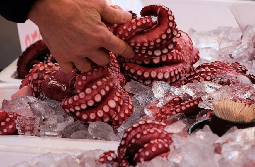 800 kilos de pulpo