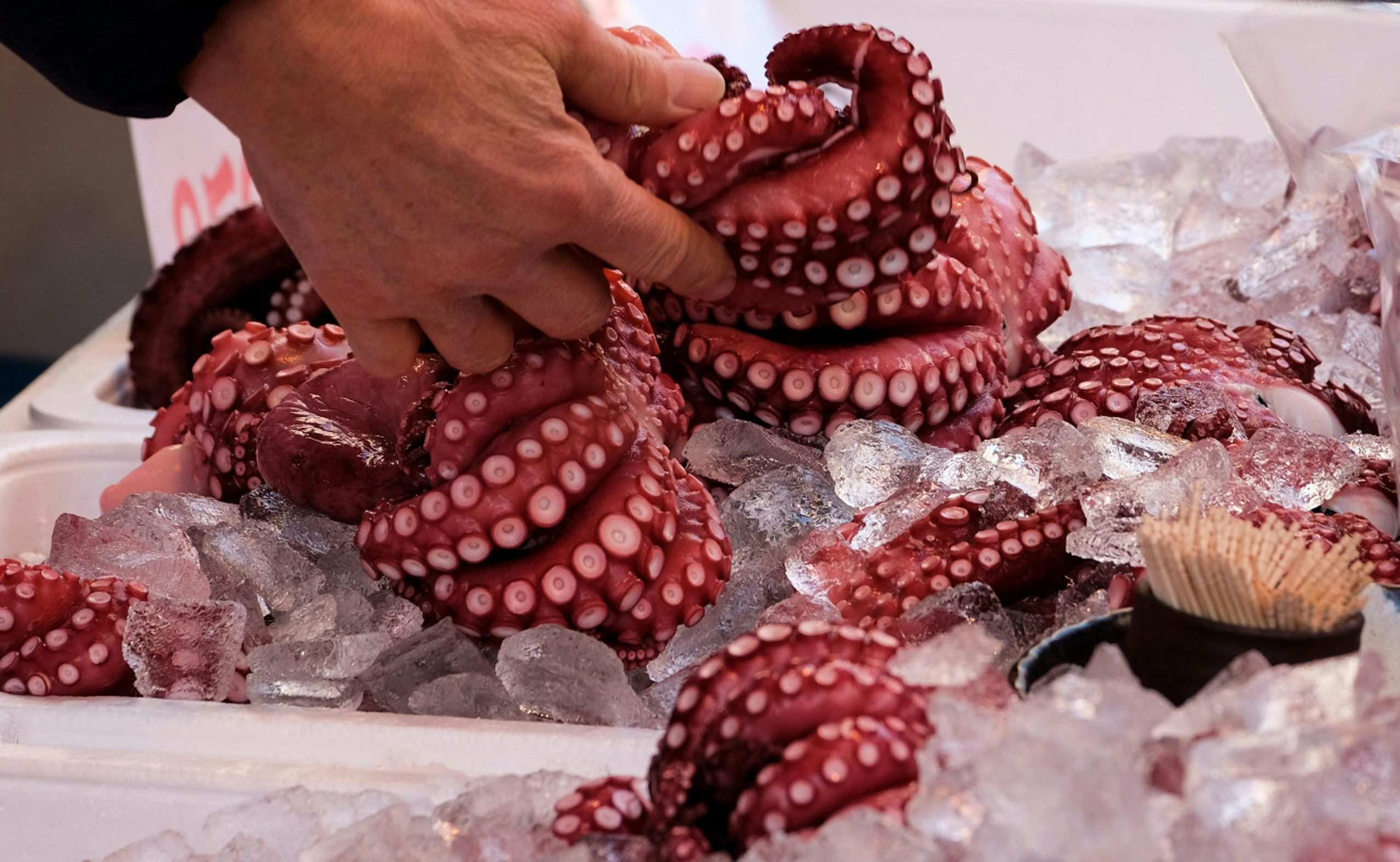 Interceptan barco portugués con 800 kilos de pulpo en Oia