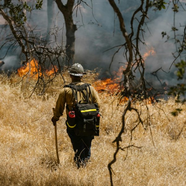 Control Forestal con Drones en Lourizán: La IA como aliada contra los incendios.