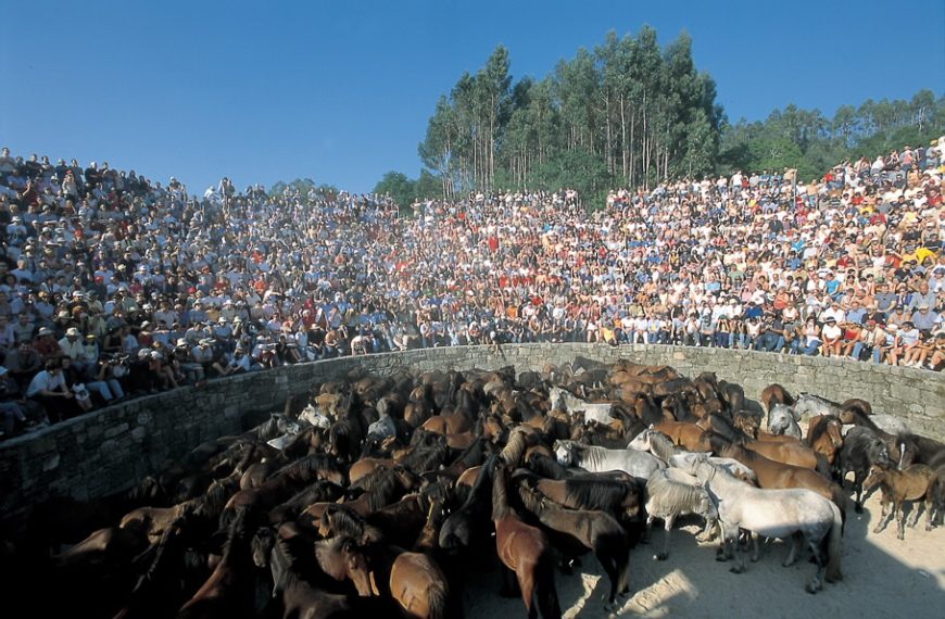 Rapa das Bestas de Sabucedo