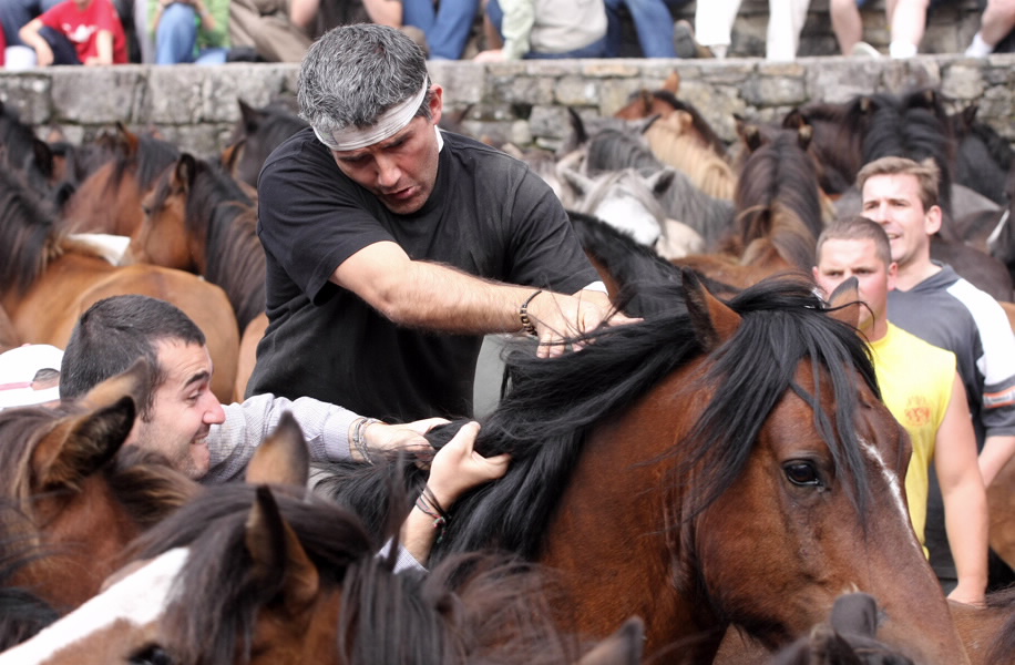 Rapa das Bestas de Sabucedo