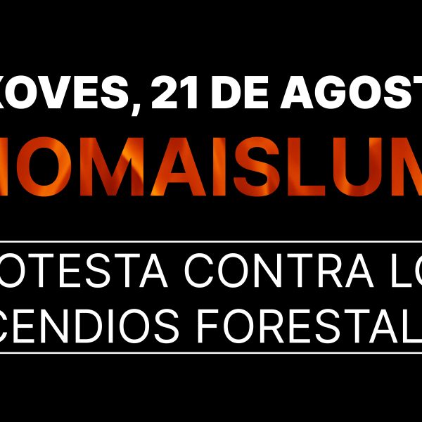 Concentraciones en contra de los incendios en Galicia