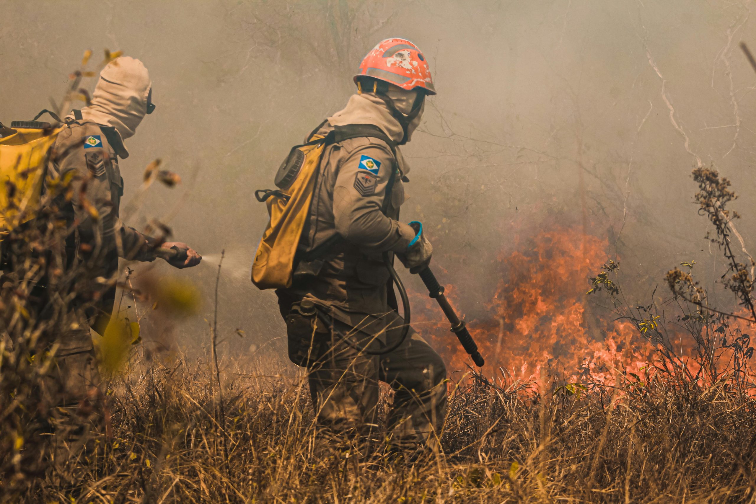 Incendios en Galicia arrasan  63.000 hectáreas