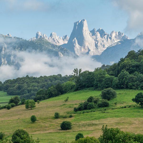 Incendio en Picos de Europa: Desalojos y Resistencia
