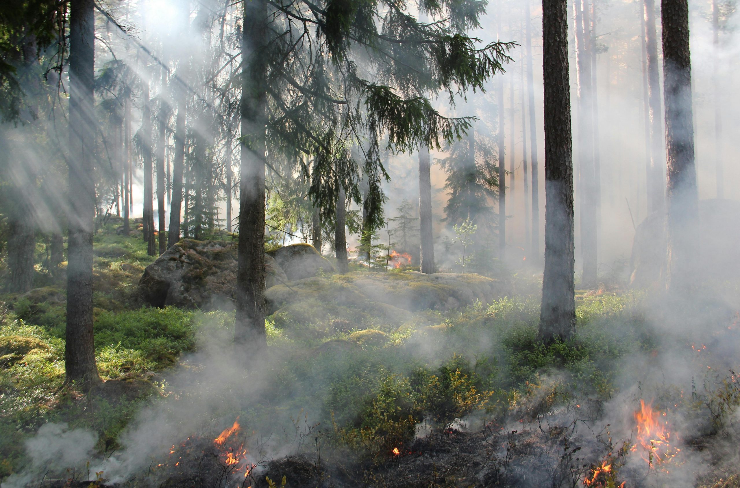 La lucha contra el fuego continúa en Ourense