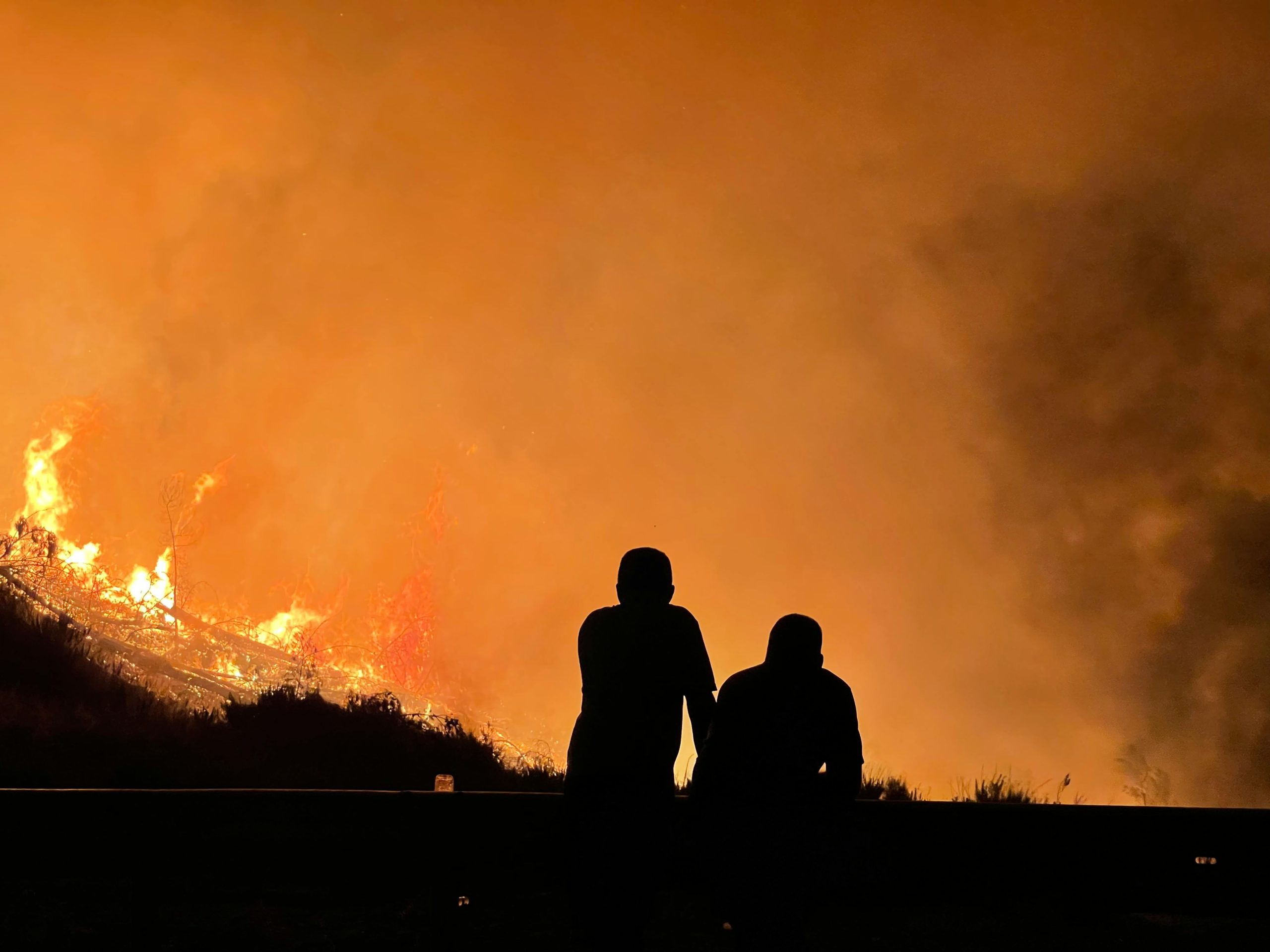 Ourense declarada zona catastrófica tras los devastadores incendios forestales