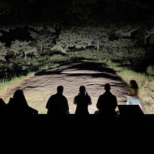 Primavera activa en el Parque Arqueológico de Campo Lameiro con talleres y visitas nocturnas