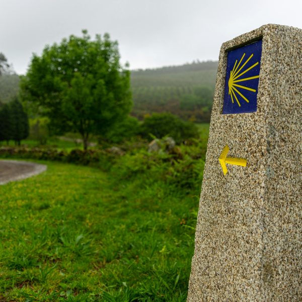 La Xunta ofrece 100 plazas para jóvenes gallegos en el programa “Conecta con Galicia no Camiño”