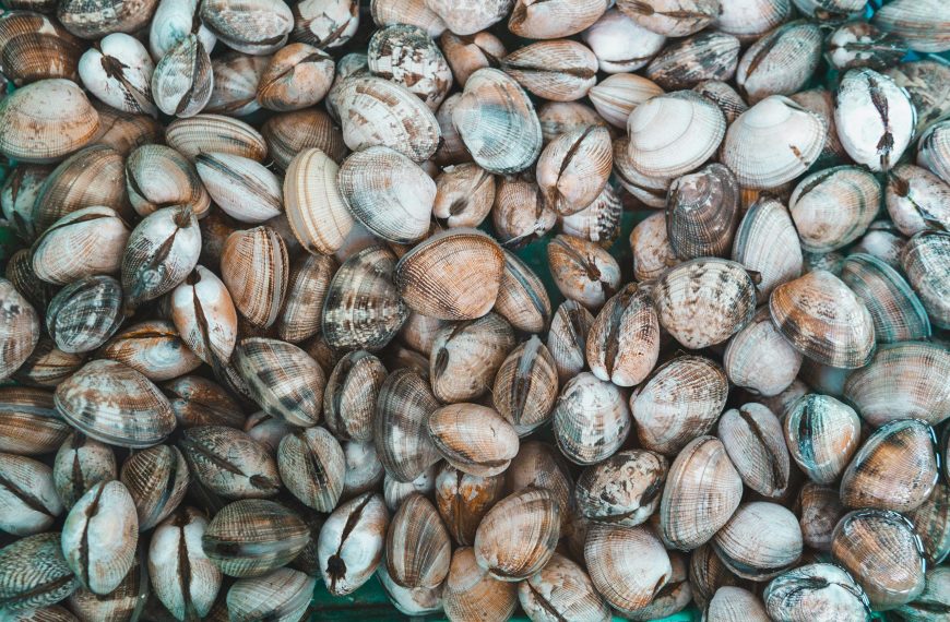 caída producción marisco Galicia