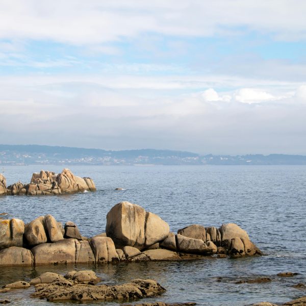 Una crisis sin precedencia e el mar gallego