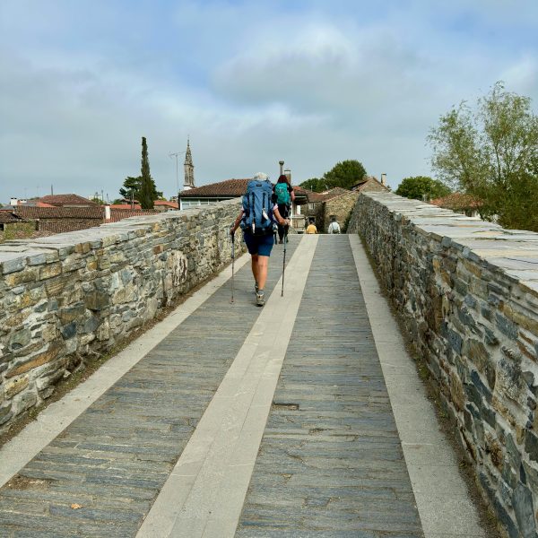Impulso a la seguridad jacobea en el trazado de la Vía de la Plata