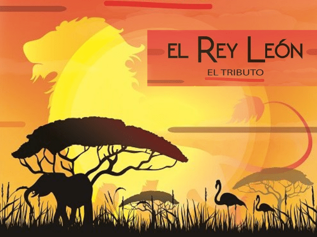 De Simba a Kiara Tributo al Rey León Ourense 8 de noviembre 2026 espectáculo musical