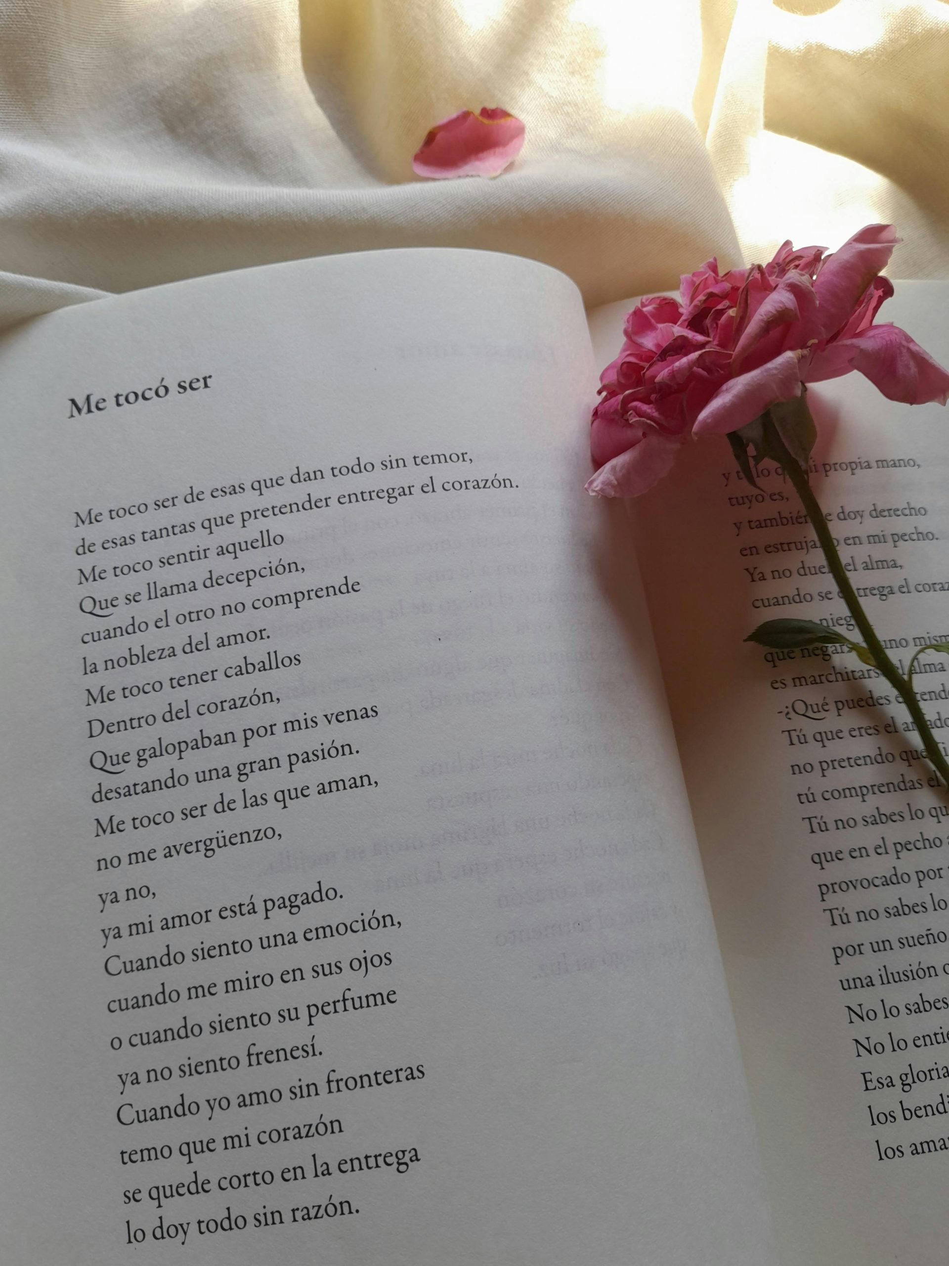 Inscripción Premio Poesía Filomena Dato 2026