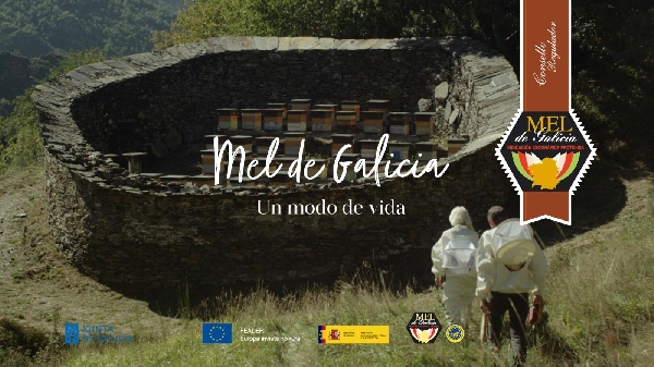 Cata de Meles en Lugo: Aprende sobre el Mel de Galicia