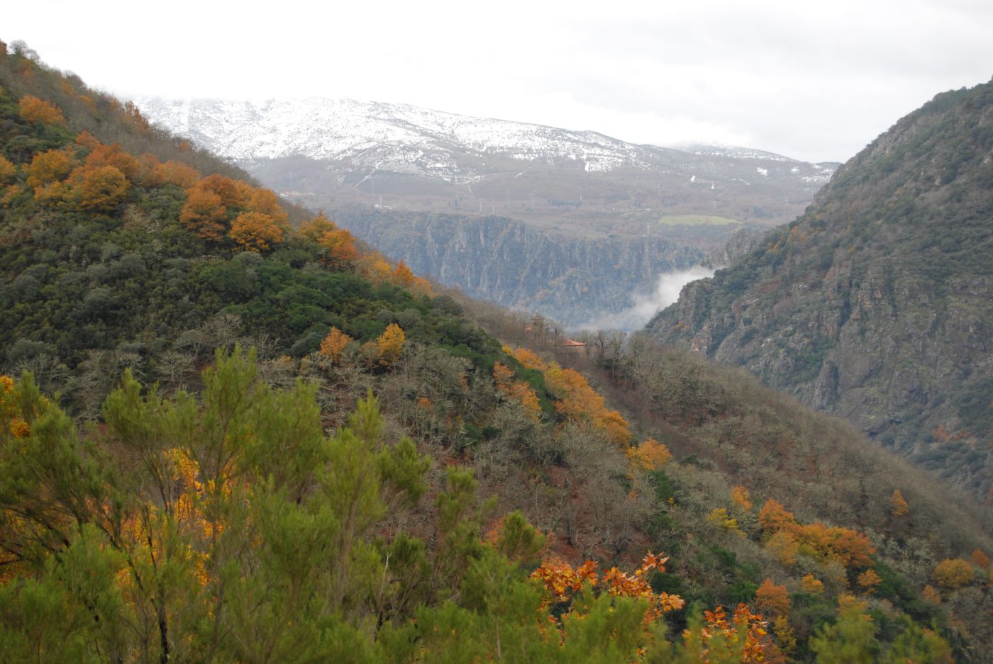 Cañón del Sil visto desde el sendero a Santa Cristina, con vegetación de tonos anaranjados en la Ribeira Sacra